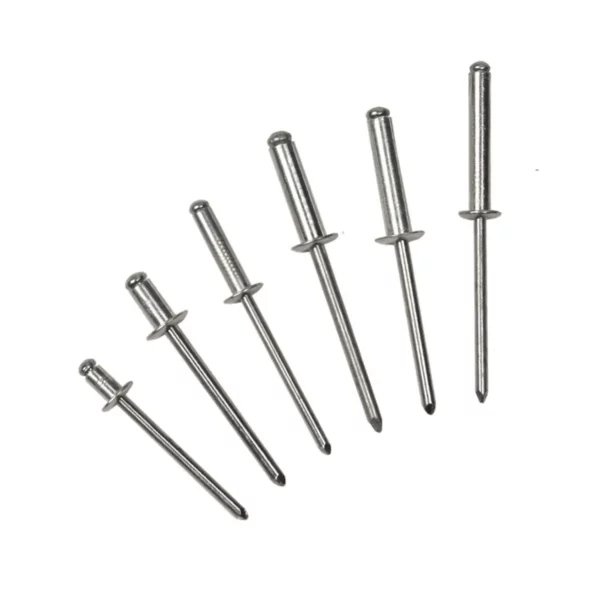 Rivetti Ciechi Standard 4,8 x 12,0 mm